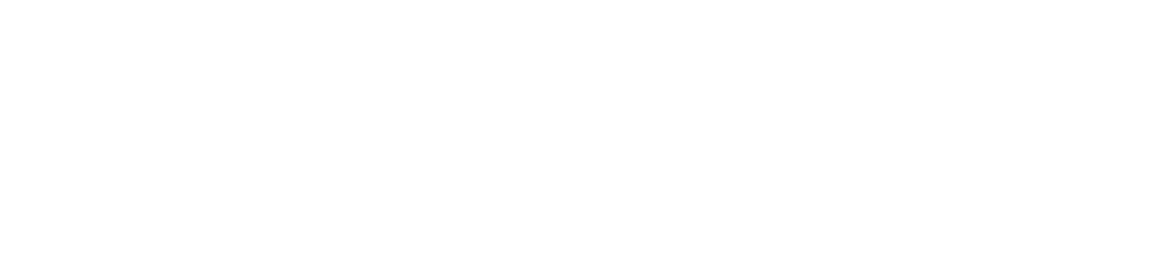 LOGO NUFESA labs copy